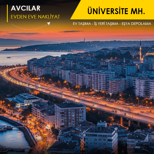 Üniversite Mahallesi'nde uygun fiyata ev taşıma.